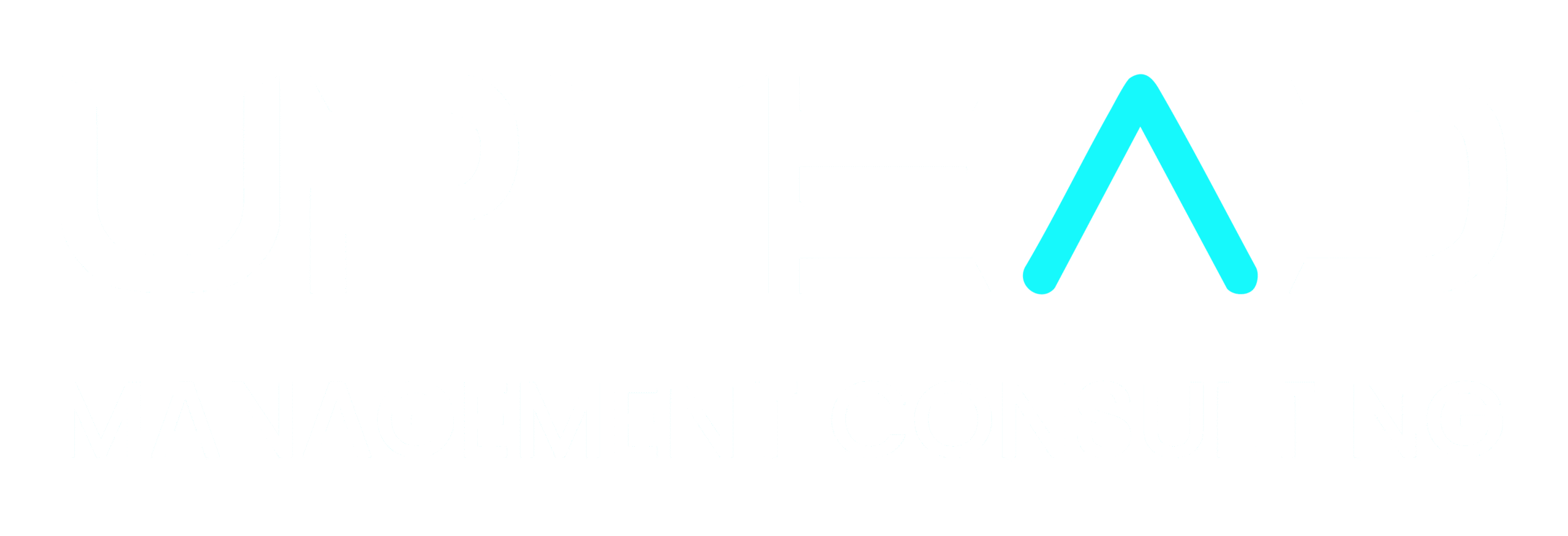 projects.upheadstrategy.com